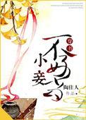 小妾当然不如妻 全文阅读