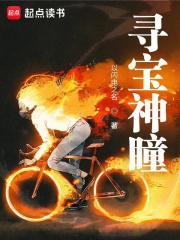 探宝神瞳