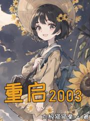 重启2013