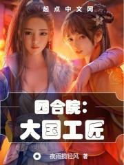 四合院大国工匠返乡