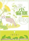 我家小猫猫