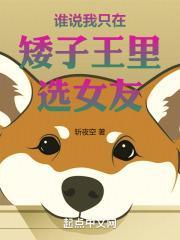 矮子王11名