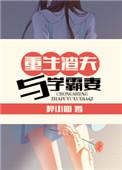 重生渣夫与学霸妻 醉小仙同类型