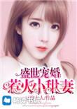 盛世婚宠总裁的小甜妻全文阅读