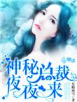 神秘总裁夜夜来 第2章