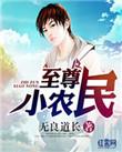 至尊小农民王木生txt