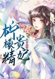 柠檬精的意思是什么?