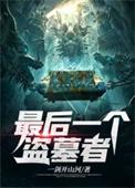 最后一个盗墓贼全集