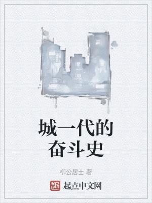 一部什么的奋斗史