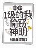 网游一级盗贼偷各种boss