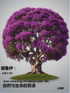 德鲁伊是什么意思