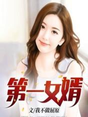 第一女婿梁军月如
