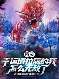精灵 六式开局的训练家