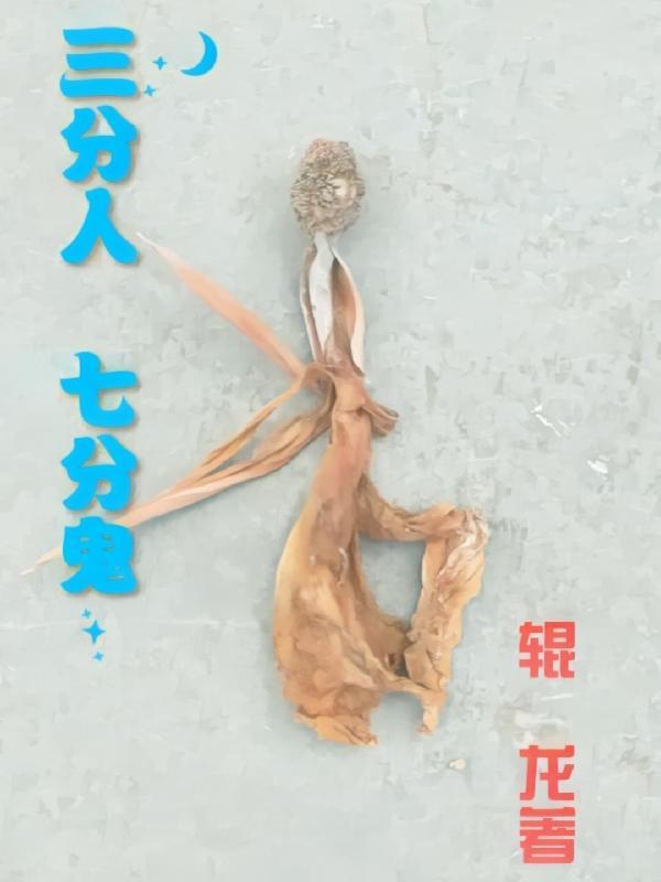 三分人七分鬼最佳答案