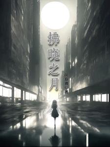拂晓之翼图片