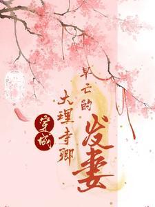 穿越到大理寺日志的