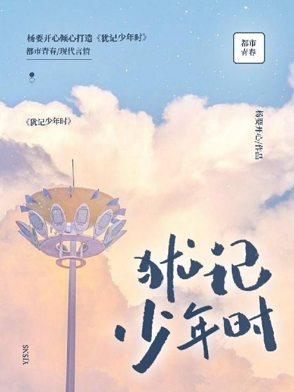 犹记少年时林水婳全文免费阅读