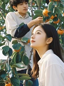 年年柿子红这部电视剧