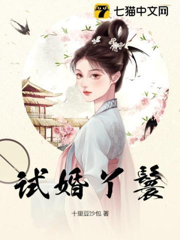 试婚丫鬟by茄子免费阅读全文