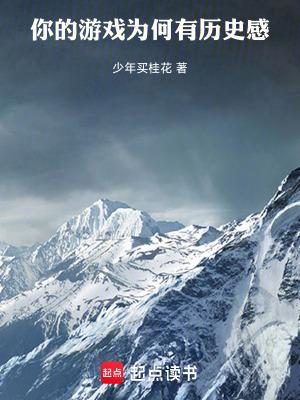 你的游戏为何有历史感无错版