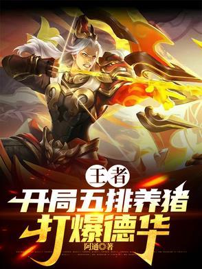 王者五黑养猪流