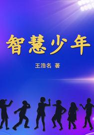 智慧少年的故事