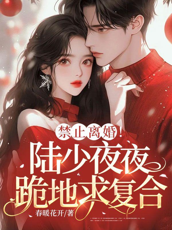 陆行舟苏晚免费阅读
