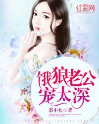 苏子衿温景辰