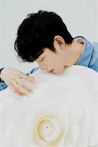 哥莫拉和雷的电视剧叫什么