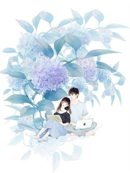 谢璟晟免费阅读大结局