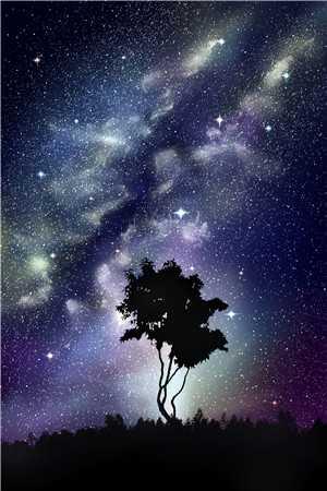 慕子琛沈泛免费阅读