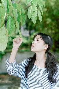 叶王强制r
