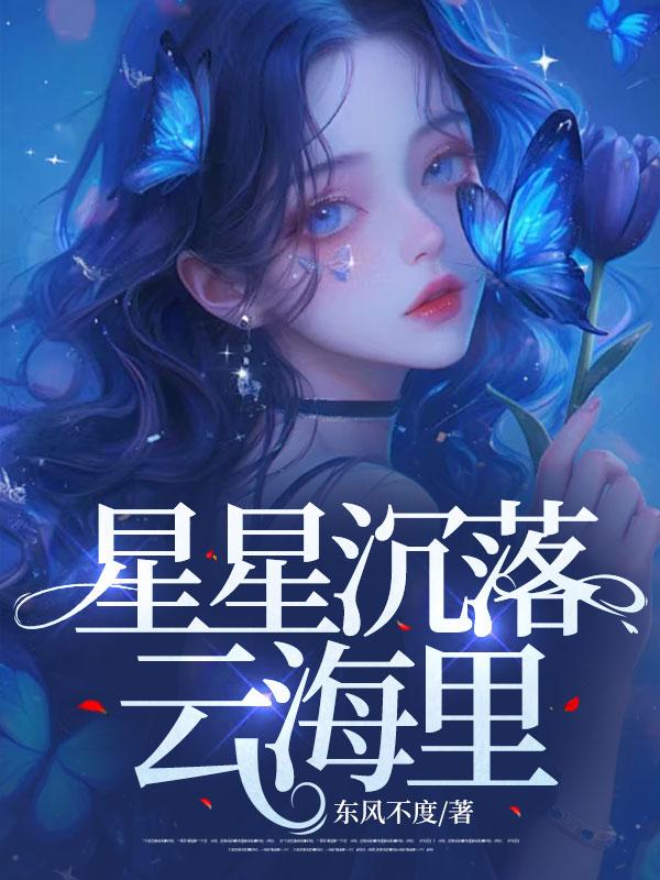 星星沉落云海里第九章