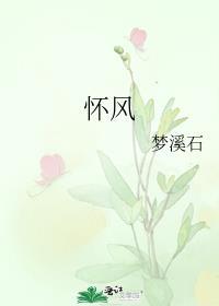 怀风霜什么意思