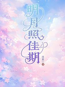 明月照佳期txt全文免费阅读