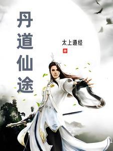 丹道仙途动漫
