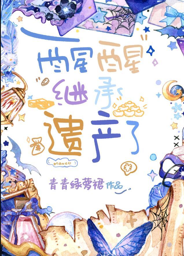 继承遗产了无防盗