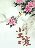 尘寰不渡1到100集