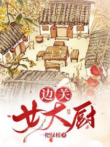 边关小厨娘全文免费阅读无