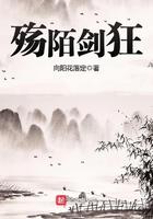 殇陌剑狂向阳花落定视频