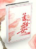 孟家妾番外阅读