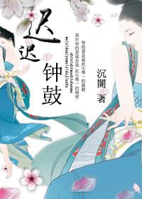 迟迟钟鼓初长夜全诗解析