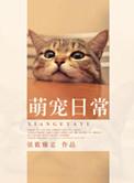 萌宠日常记录小猫