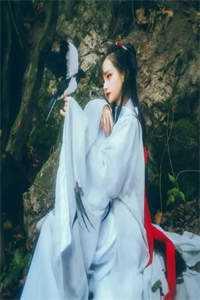 杨珍贝封哲馥