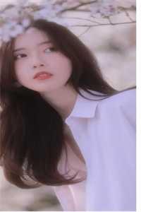 顾迟苏沭容