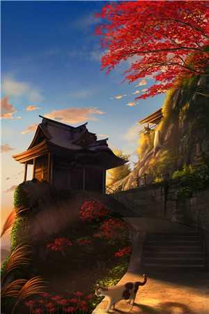 顾玄张欢