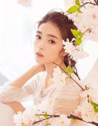 洪初树公羊姬勤