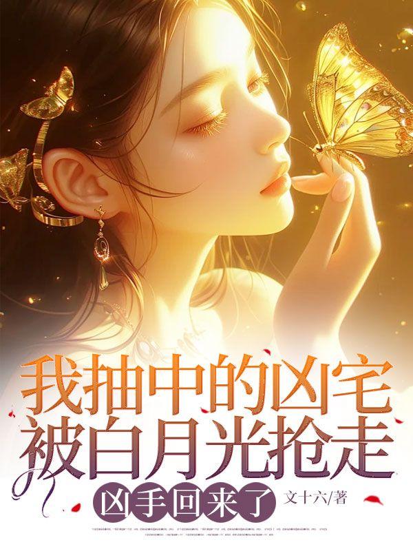 白月光沪圈