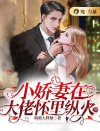 徐才启柴婉秋